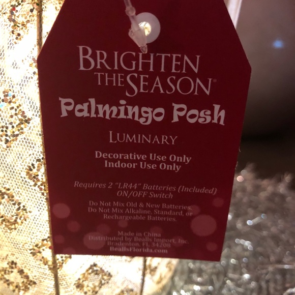 🌴Florida Holiday Decor!! 🌴 - Picture 3 of 5